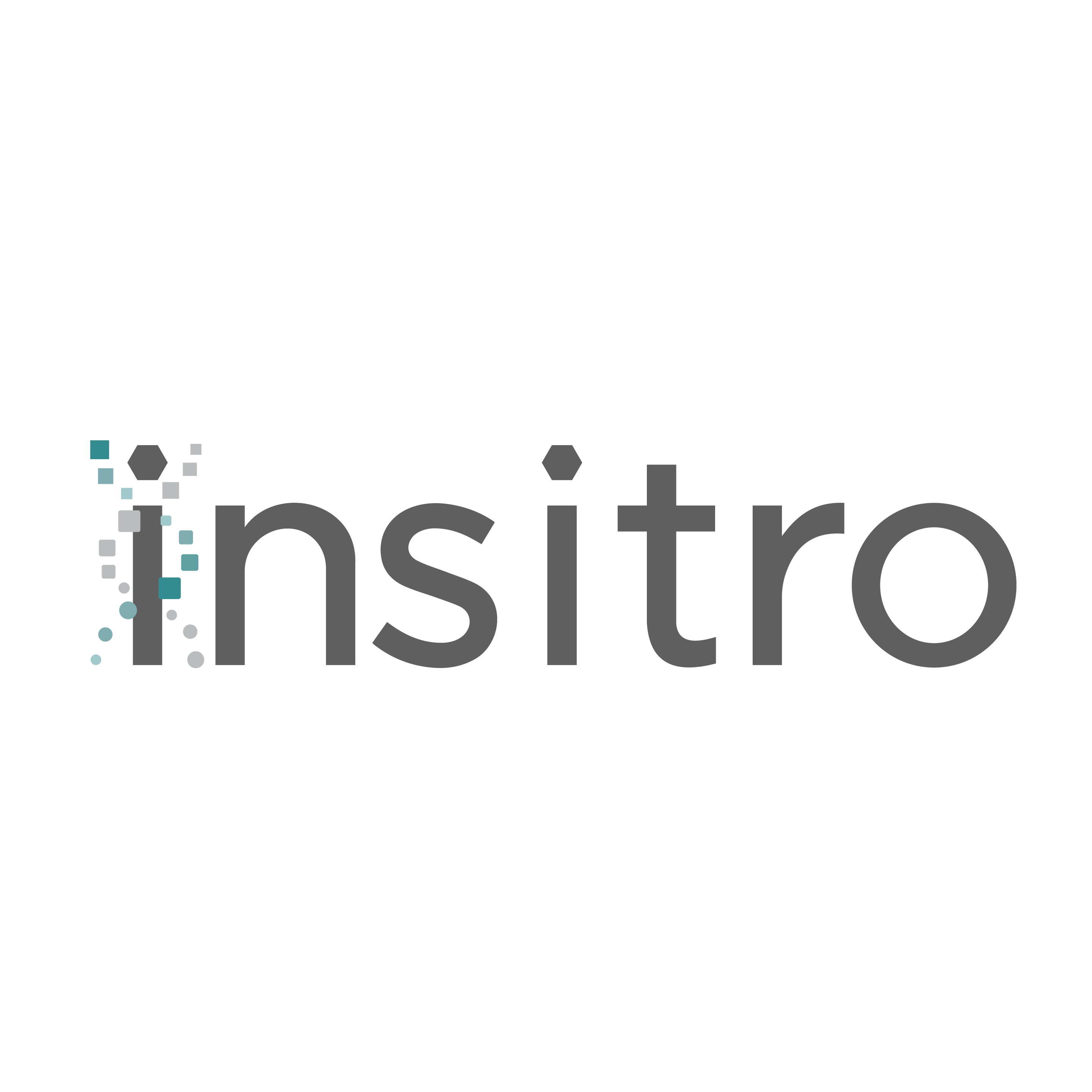 Insitro Logo