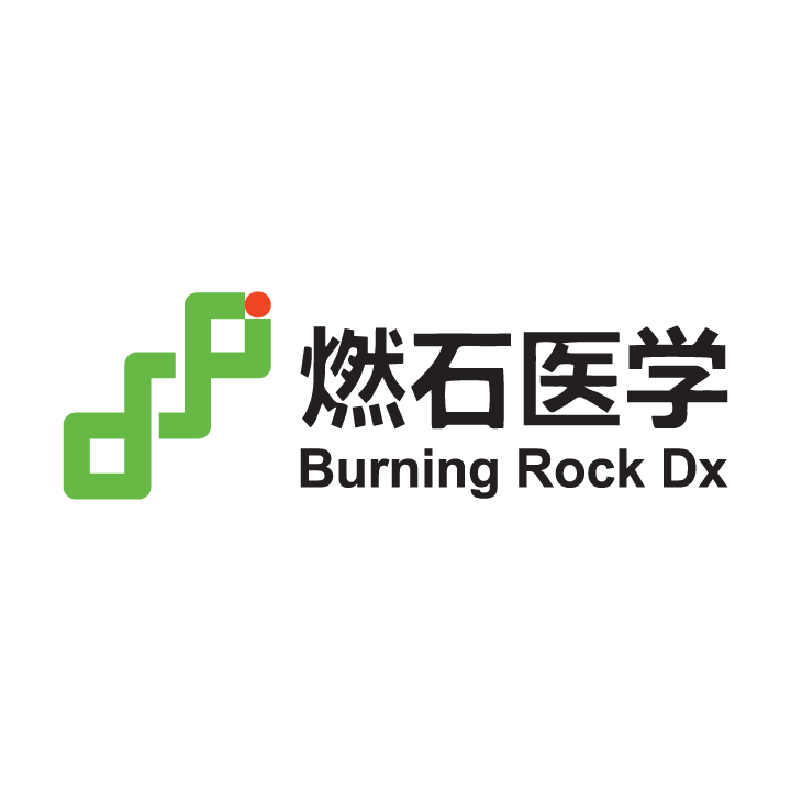Burning Rock Dx Logo